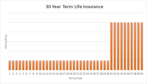 30 Year Term Life Insurance