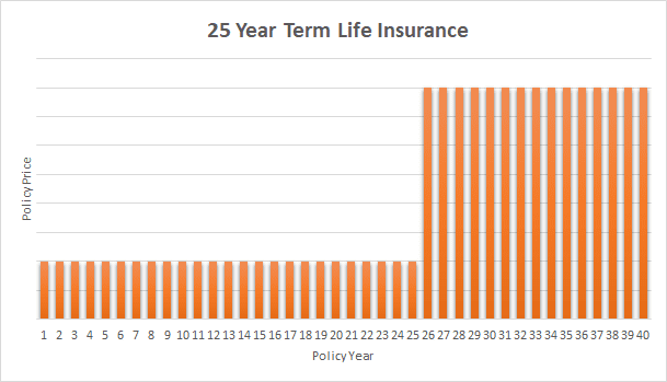 25 year term life insurance